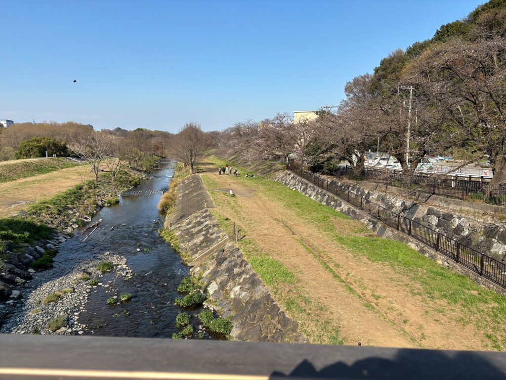 清瀬の柳瀬川沿いの遊歩道