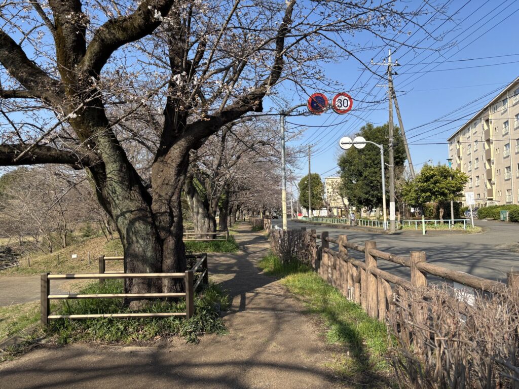清瀬の柳瀬川沿いの歩道　途中から砂利道